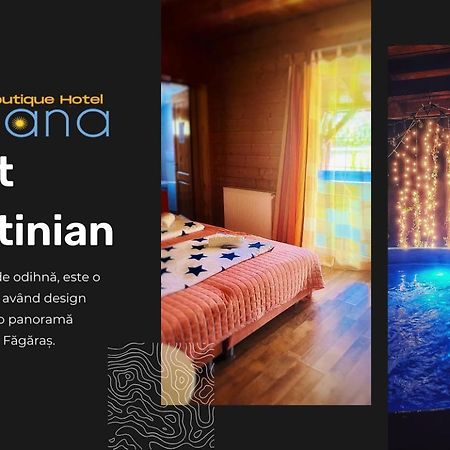Pensiunea Ohana Vistea de Sus Bagian luar foto