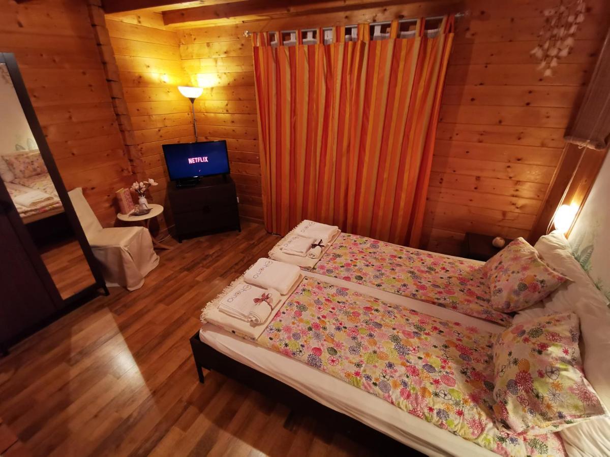 Pensiunea Ohana Vistea de Sus Bagian luar foto