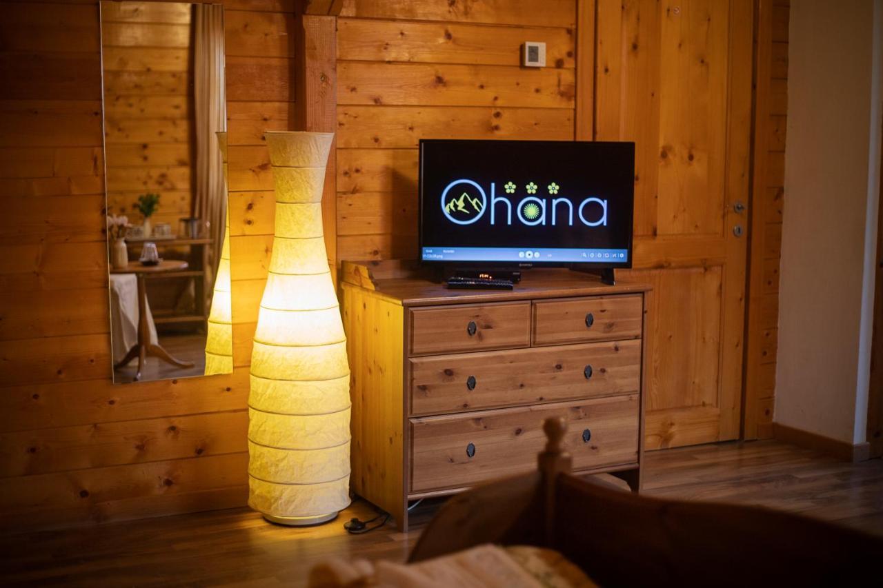 Pensiunea Ohana Vistea de Sus Bagian luar foto