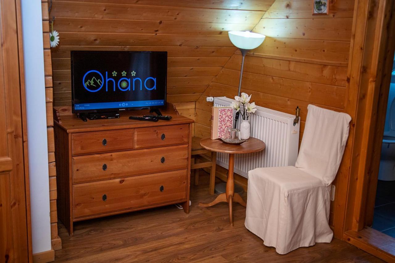 Pensiunea Ohana Vistea de Sus Bagian luar foto