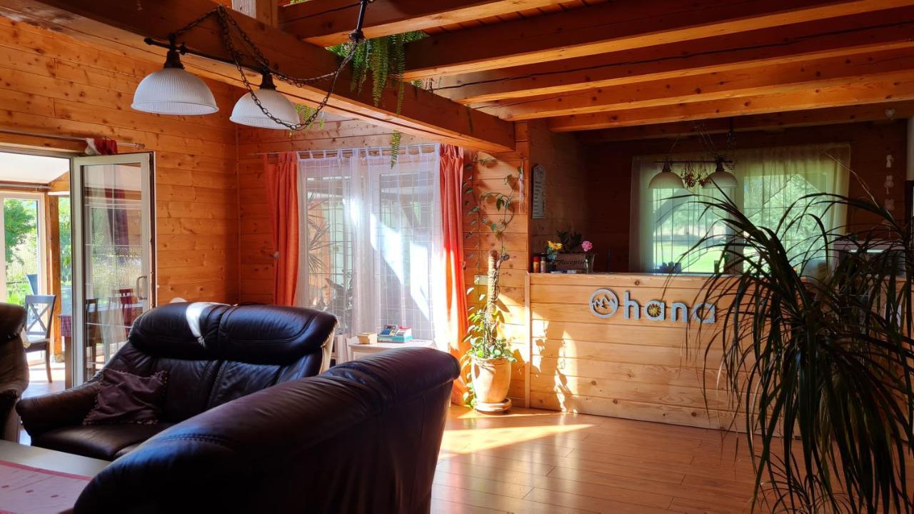 Pensiunea Ohana Vistea de Sus Bagian luar foto