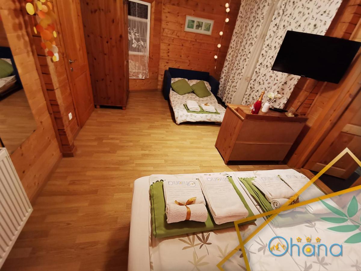 Pensiunea Ohana Vistea de Sus Bagian luar foto
