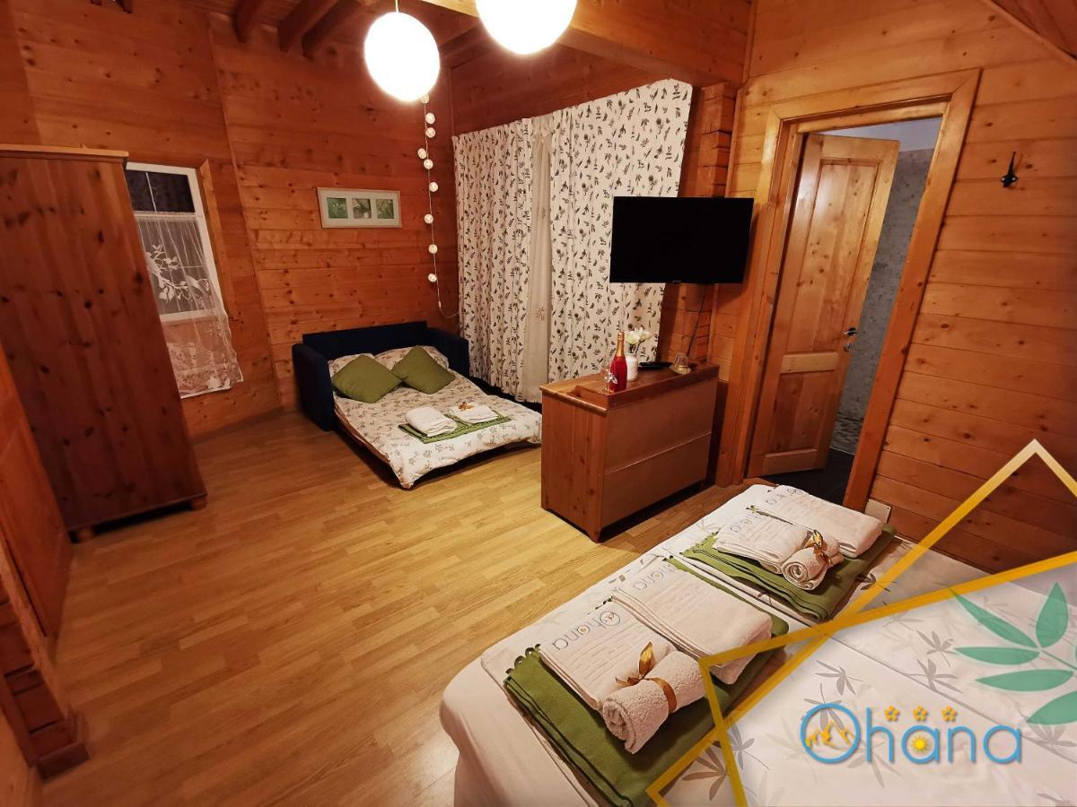 Pensiunea Ohana Vistea de Sus Bagian luar foto