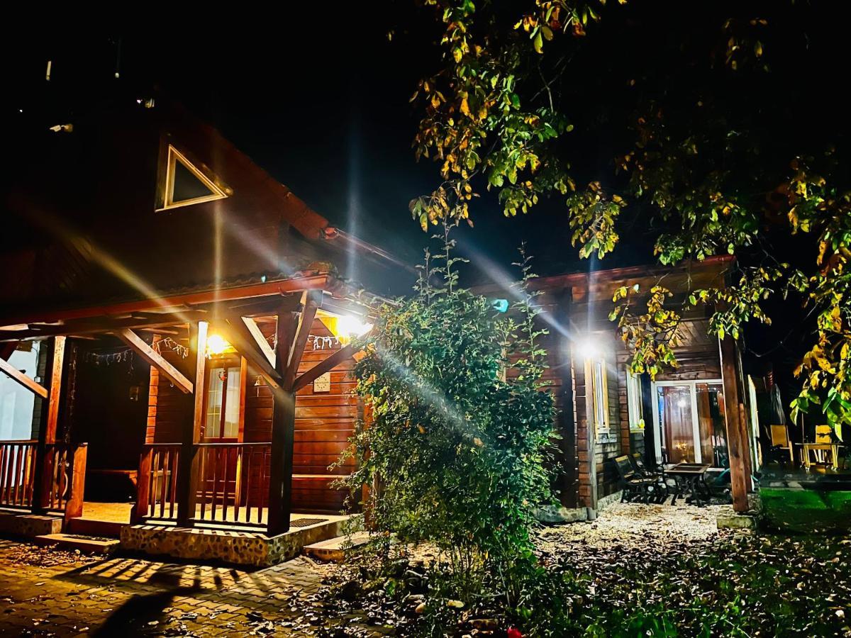 Pensiunea Ohana Vistea de Sus Bagian luar foto